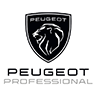 Peugeot Professional Spazio Group Torino